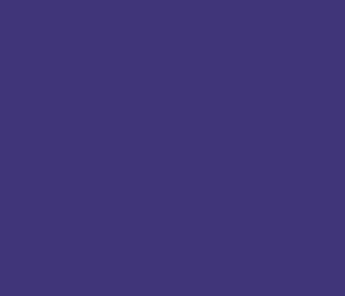 Gallery image for Purple Runner