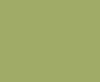 Gallery image for Napkin, Olive Green