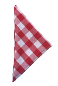 Gallery image for Check, Red and White
