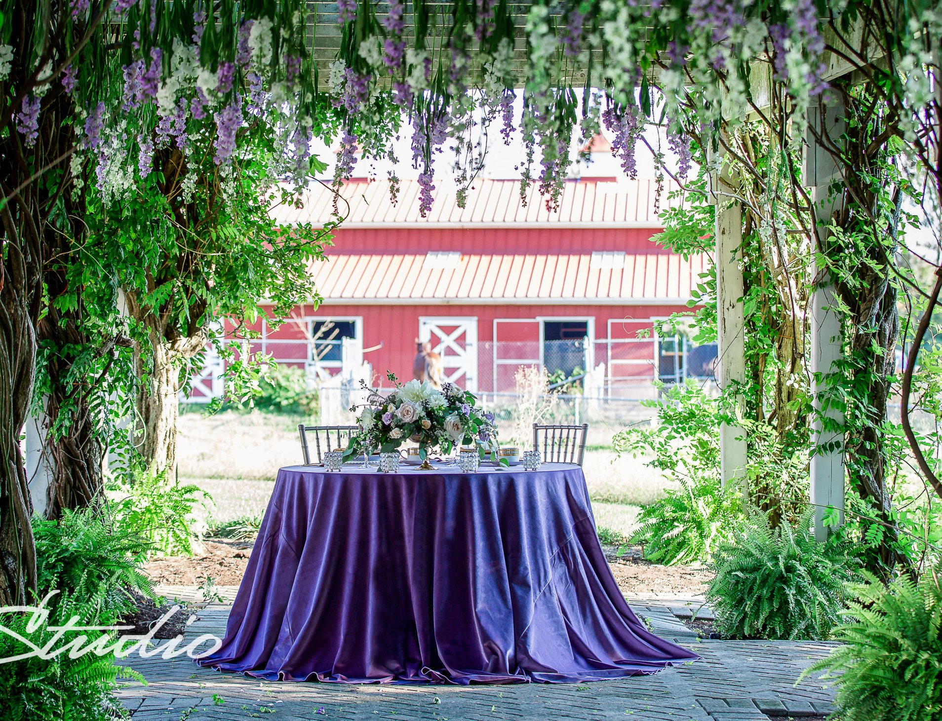 Gallery image for Lavender Velvet