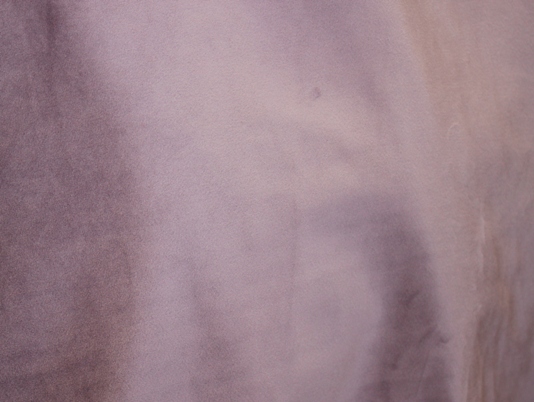 Gallery image for Lavender Velvet