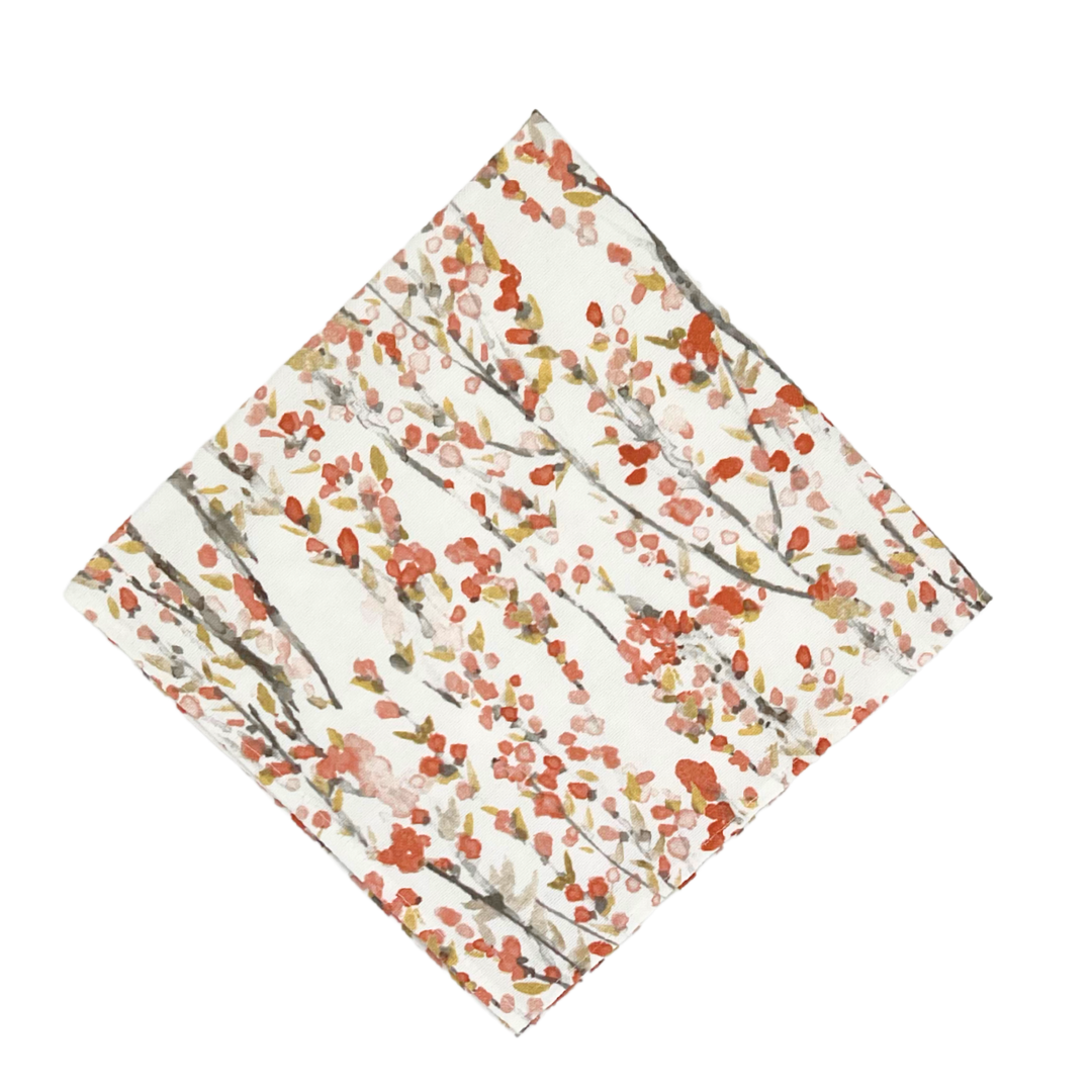 Gallery image for Terracotta Vera