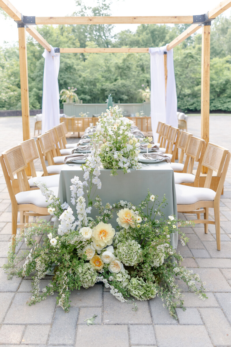 Gallery image for Norah