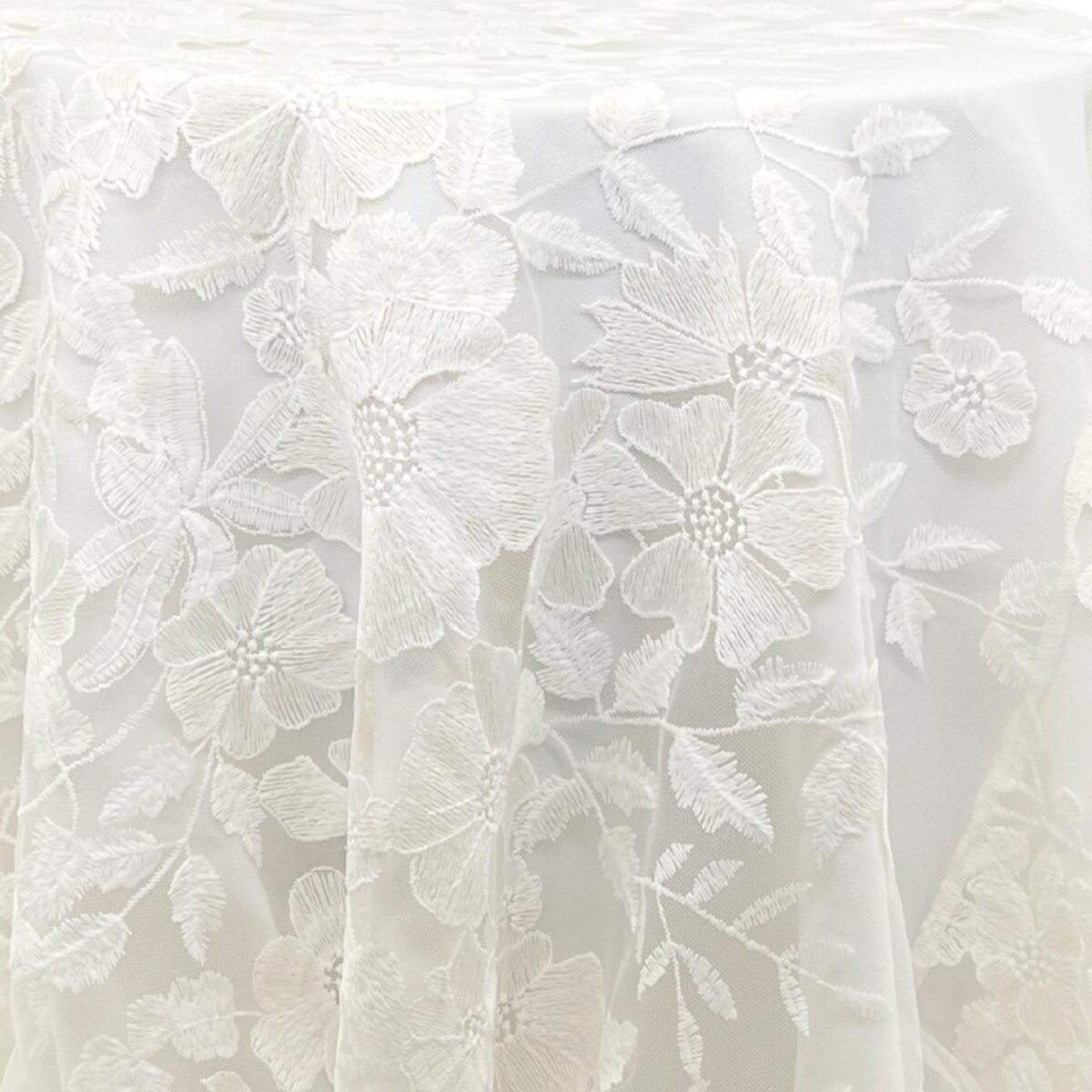 Gallery image for Evie