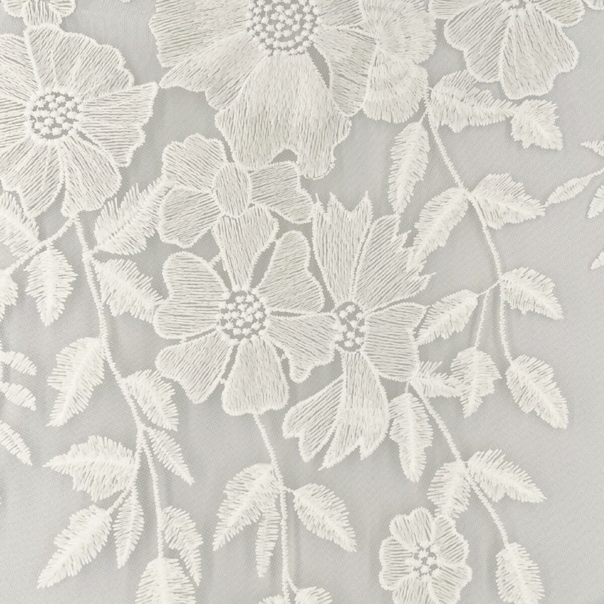 Gallery image for Evie