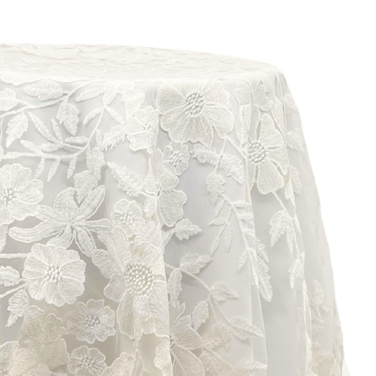 Gallery image for Evie